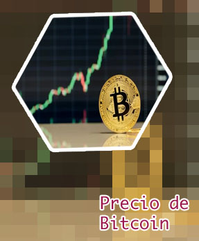 Bitcoin cotizacion directo