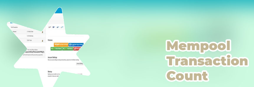 Btc transaction info