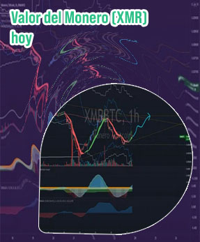 Btc xmr exchange service