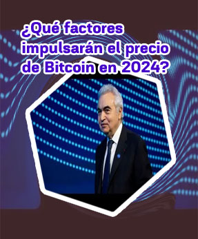Evolucion criptomonedas 2024